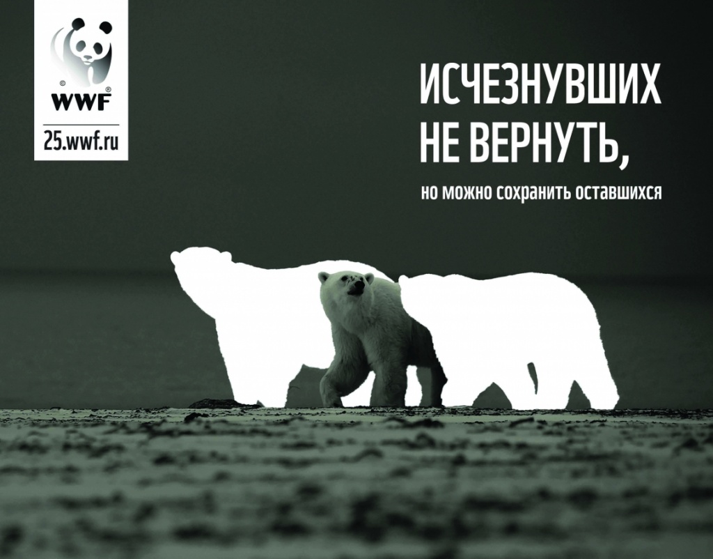 исчезнувшие.jpg исчезнувшие.jpg
